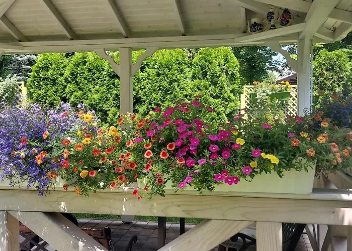 Hidden Gem Garden Cracovie