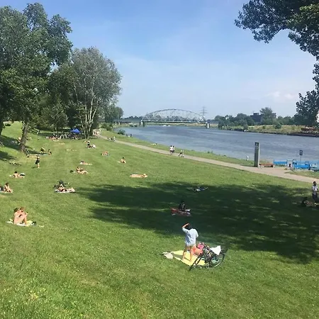 Apartamento Hidden Gem Garden Cracovia