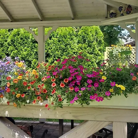 Hidden Gem Garden Cracovia